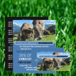 Prospectus 11,4 Cm X 14,2 Cm Pâturage des vaches, Publicité Cheesemonger<br><div class="desc">Vaches Grazing,  Cheesemonger Publicité Flyers Par Le Magasin Carte de visite.</div>