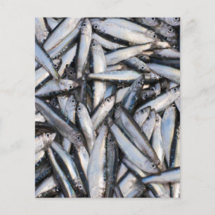 Prospectus 11,4 Cm X 14,2 Cm Pêche au poisson frais - ingrédients alimentaires.