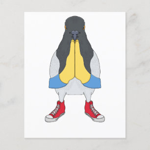 Prospectus 11,4 Cm X 14,2 Cm Pigeon avec chaussures