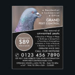 Prospectus 11,4 Cm X 14,2 Cm Pigeon De Bois, Publicité Pour La Lutte Contre Les<br><div class="desc">Pigeon De Bois,  Dépliant Publicitaire De Lutte Contre Les Poitrines Par Le Magasin Carte de visite.</div>