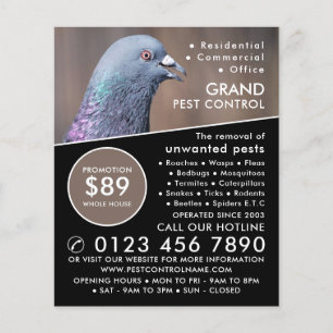 Prospectus 11,4 Cm X 14,2 Cm Pigeon De Bois, Publicité Pour La Lutte Contre Les