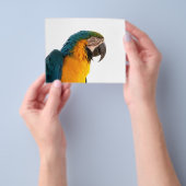 Prospectus 11,4 Cm X 14,2 Cm Post-it Notes perroquet (main)