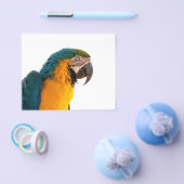 Prospectus 11,4 Cm X 14,2 Cm Post-it Notes perroquet (Simple)