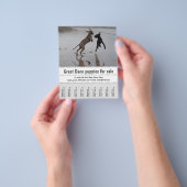 Prospectus 11,4 Cm X 14,2 Cm Poster du vendeur (main)