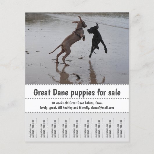 Prospectus 11,4 Cm X 14,2 Cm Poster du vendeur (Devant)