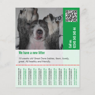 Prospectus 11,4 Cm X 14,2 Cm Pour vendre des chiots