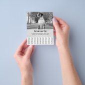 Prospectus 11,4 Cm X 14,2 Cm Pour vendre des chiots danois (main)