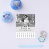 Prospectus 11,4 Cm X 14,2 Cm Pour vendre des chiots danois (Simple)