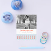 Prospectus 11,4 Cm X 14,2 Cm Pour vendre des chipies de Danse (Simple)