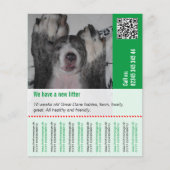 Prospectus 11,4 Cm X 14,2 Cm Pour vendre des Puppies (Devant)