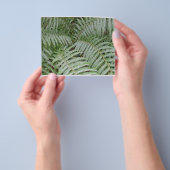 Prospectus 11,4 Cm X 14,2 Cm Prospectus Fougère verte (main)