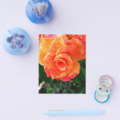 Prospectus 11,4 Cm X 14,2 Cm Rose orange (Simple)