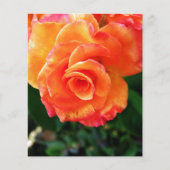 Prospectus 11,4 Cm X 14,2 Cm Rose orange (Devant)