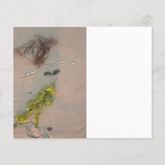 Prospectus 11,4 Cm X 14,2 Cm Sirène dans le sable (Devant)
