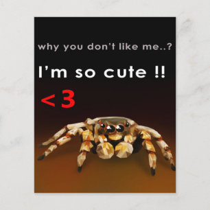 Prospectus 11,4 Cm X 14,2 Cm Spider Je suis si mignon Cadeau de Spider Lover
