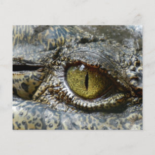 Prospectus 11,4 Cm X 14,2 Cm visage d'œil de crocodile animal personnalisé diy 