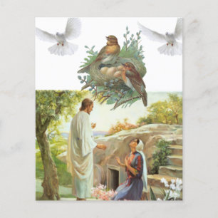 Prospectus 11,4 Cm X 14,2 Cm Voltigeurs de Jésus-Christ