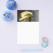 Prospectus 14 Cm X 21,6 Cm Bananes (Simple)