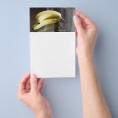 Prospectus 14 Cm X 21,6 Cm Bananes (Poignée)