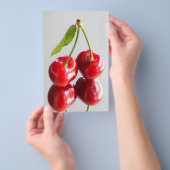Prospectus 14 Cm X 21,6 Cm Cerise douce (Poignée)