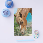 Prospectus 14 Cm X 21,6 Cm Cheval (Simple)