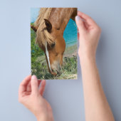 Prospectus 14 Cm X 21,6 Cm Cheval (Poignée)