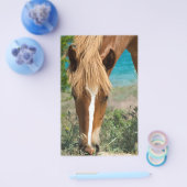 Prospectus 14 Cm X 21,6 Cm Cheval (Simple)