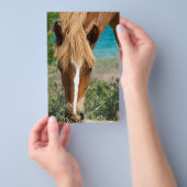 Prospectus 14 Cm X 21,6 Cm Cheval (Poignée)