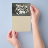 Prospectus 14 Cm X 21,6 Cm Chiens de taureau français mignons (Poignée)