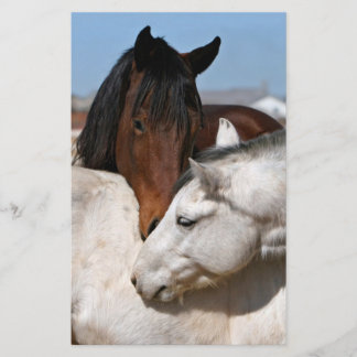 Prospectus 14 Cm X 21,6 Cm ferme ranch équin chevaux occidentaux sports amour