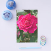 Prospectus 14 Cm X 21,6 Cm Fleur rose (Simple)