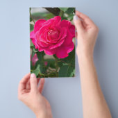 Prospectus 14 Cm X 21,6 Cm Fleur rose (Poignée)