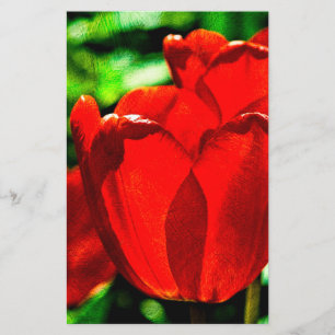 Prospectus 14 Cm X 21,6 Cm Fleurs de tulipes rouges
