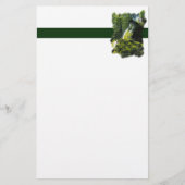 Prospectus 14 Cm X 21,6 Cm Flyer énergétique (Devant)