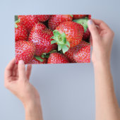 Prospectus 14 Cm X 21,6 Cm Fraise douce (Poignée)