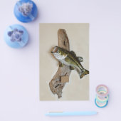 Prospectus 14 Cm X 21,6 Cm grande bouche basse (Simple)