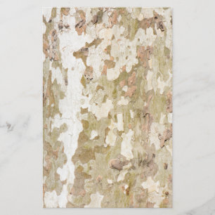 Prospectus 14 Cm X 21,6 Cm Le camouflage de l'arbre de l'avion ressemble à un