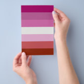 Prospectus 14 Cm X 21,6 Cm Lesbian Pride Flag LGBTQ (Poignée)