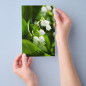 Prospectus 14 Cm X 21,6 Cm Lys de la fleur de vallée (Poignée)