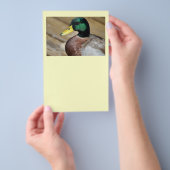 Prospectus 14 Cm X 21,6 Cm Mallard Duck (Poignée)
