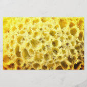 Prospectus 14 Cm X 21,6 Cm Pièce d'éponge amusant style professionnel pack bl (Dos)