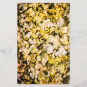 Prospectus 14 Cm X 21,6 Cm Popcorn (Dos)