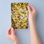 Prospectus 14 Cm X 21,6 Cm Popcorn (Poignée)