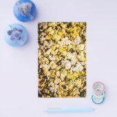 Prospectus 14 Cm X 21,6 Cm Popcorn (Simple)