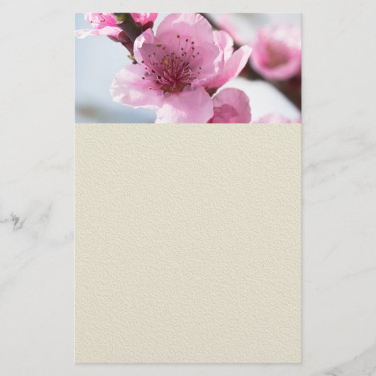 Prospectus 14 Cm X 21,6 Cm Printemps (Devant)