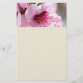 Prospectus 14 Cm X 21,6 Cm Printemps (Dos)