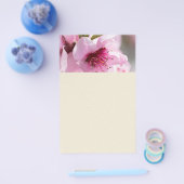 Prospectus 14 Cm X 21,6 Cm Printemps (Simple)