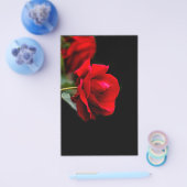Prospectus 14 Cm X 21,6 Cm Rouge (Simple)