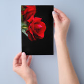 Prospectus 14 Cm X 21,6 Cm Rouge (Poignée)