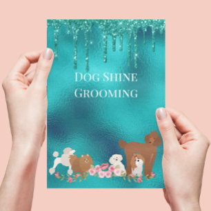 Prospectus 14 Cm X 21,6 Cm Toilettage de chiens Garderie d'animaux entreprise